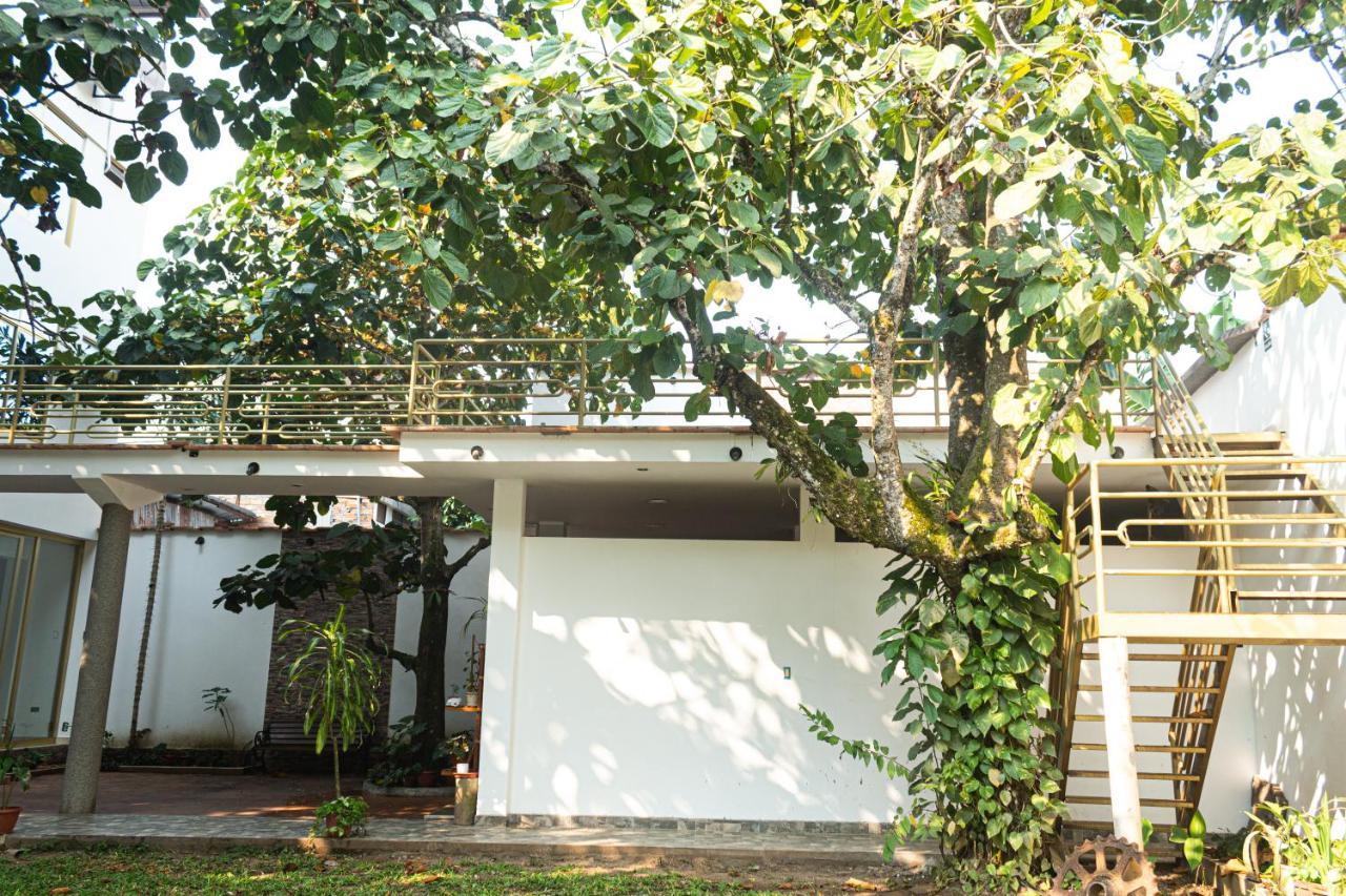 Green House Тарапото Екстериор снимка